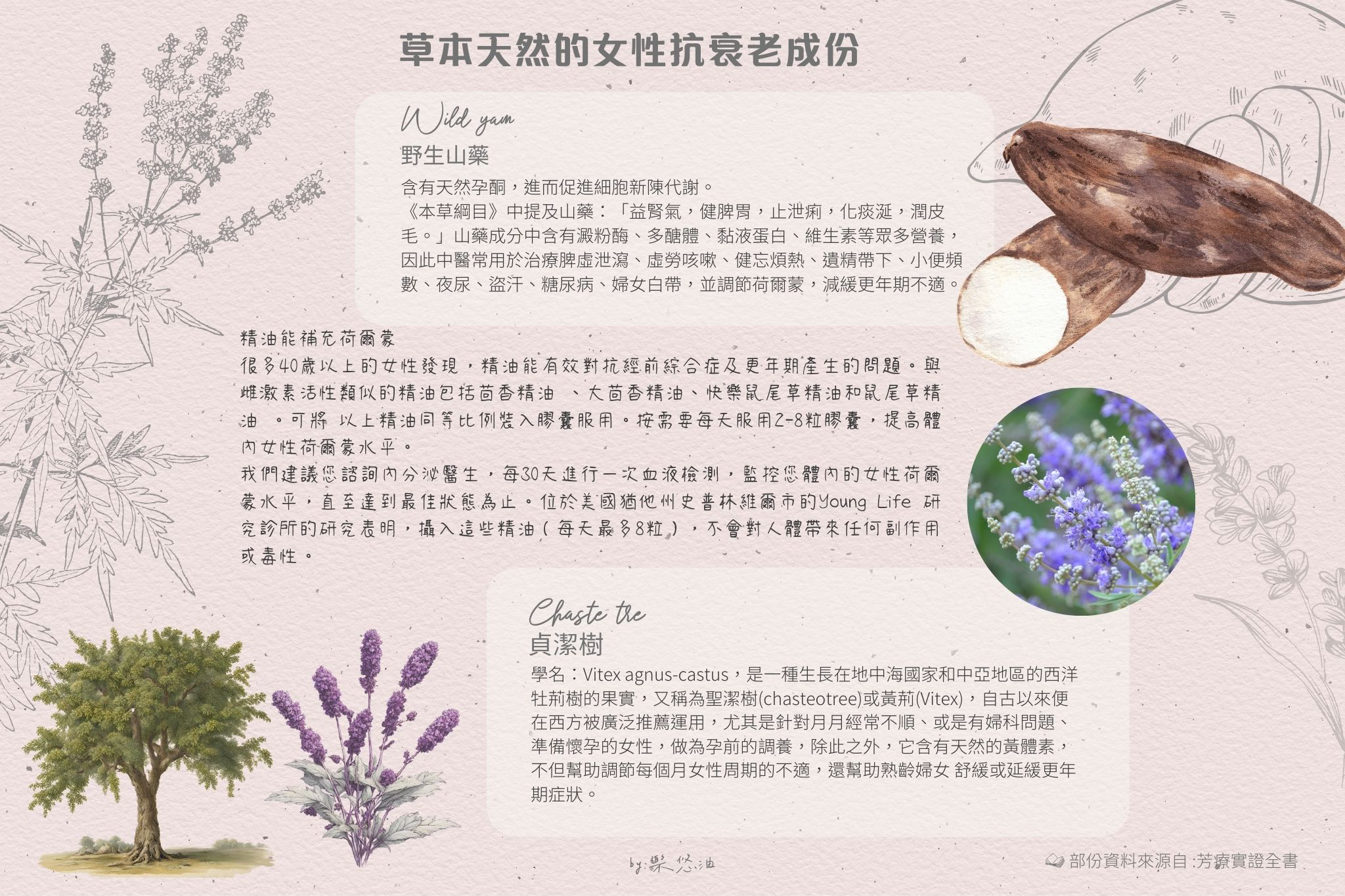 草本天然的女性抗衰老成份